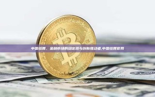 中国结算，金融市场的稳定器与创新推动者,中国结算官网