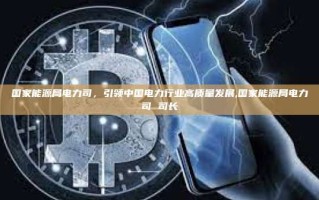 国家能源局电力司，引领中国电力行业高质量发展,国家能源局电力司 司长