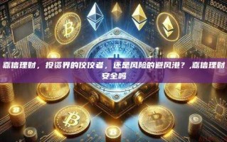 嘉信理财，投资界的佼佼者，还是风险的避风港？,嘉信理财安全吗