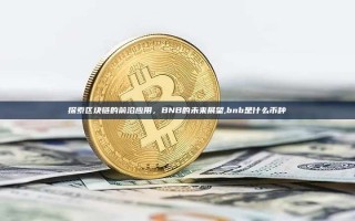 探索区块链的前沿应用，BNB的未来展望,bnb是什么币种