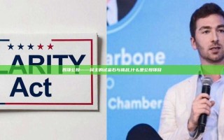 四项公投——民主的试金石与挑战,什么是公投项目