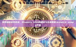 探索加密货币市场，Binance USA的崛起与未来展望,binance usapp下载