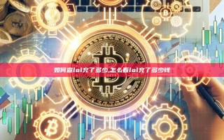 如何查lol充了多少,怎么看lol充了多少钱
