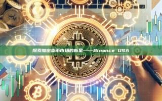 探索加密货币市场的新星——Binance USA