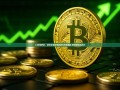 LI财报解析，透视企业财务健康与未来展望,理财保险可靠吗