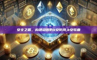 安全之盾，构建稳固的b安防线,b安歌曲