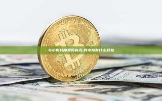 与小狗共度美好时光,养小狗有什么好处