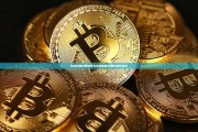 特斯拉股价的起伏与未来展望,特斯拉股价走势