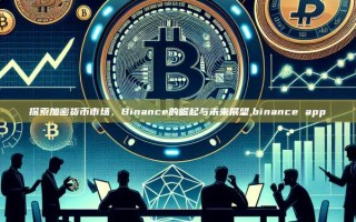 探索加密货币市场，Binance的崛起与未来展望,binance app